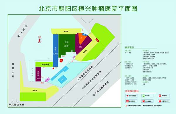 男生女生在床上搓搓搓视频北京市朝阳区桓兴肿瘤医院平面图